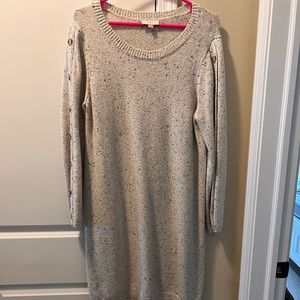 Loft Sweater Dress